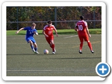 Kreisliga B St. 2 * Saison 2024/2025 * 26.10.2024 * FC Neustadt II - SG Schluchsee-Feldberg  0:3  (0:2)