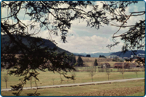 Hier befindet sich heute das Jahn-Stadion.  (Bild: Werner Käß)